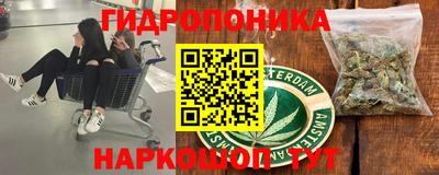 PSILOCYBIN Нальчик
