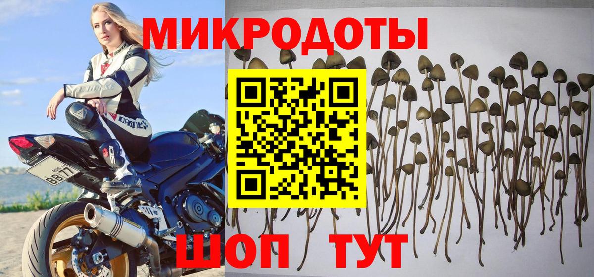Топки  Псилоцибиновые грибы Psilocybe  Вход с VPN 