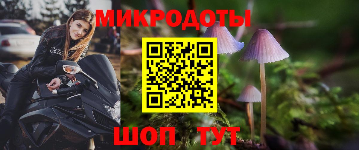 Галлюциногенные грибы Psilocybe Топки